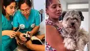 Veterinaria Solidaria de Comas lanza campaña de vacunación GRATUITA: ¿qué servicios ofrece este 2024?