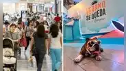 Lista de malls pet friendly en Lima: conoce los centros comerciales que aceptan mascotas