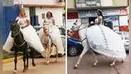 Hermanas causan furor al casarse el mismo día en Cusco y llegar a boda en caballos: "Hermoso"