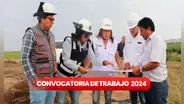 ¡Más de 100 puestos de trabajo! Ministerio de Desarrollo Agrario ofrece empleos con sueldos de hasta S/14.500