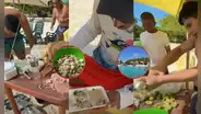 Venezolanos preparan ceviche del PERÚ en playa paradisíaca de TUCACAS y sorprenden: “Es el verdadero paraíso”