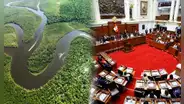 Especialistas sobre Ley Forestal en el Congreso: “Nuestras autoridades están regalando el Perú”