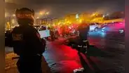Caballo de la PNP muere tras chocar con vehículo por huir de pirotécnicos en Noche Blanquiazul