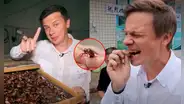 Joven come cucaracha de 70.000 dólares en China y sorprende con su comentario: “Es muy nutritiva”