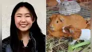 ¿Cómo ganar más de US$400.000 vendiendo jaulas para cuyes? conoce la historia de Bella Lin