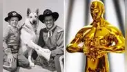 Rin Tin Tin y la sorprendente historia del perro que estuvo a punto de ganar el anhelado Premio Oscar