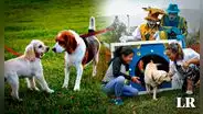 Los 12 parques para perros en Lima: tienen juegos especiales para mascotas y rejas de seguridad