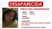 VMT: escolar lleva 15 días desaparecida y madre sospecha que fue secuestrada