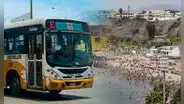 ¿Vives en Ate? Conoce la mejor ruta para ir a las playas saludables de Chorrillos con menos de S/6