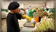 Número de empresas exportadoras incrementó en 3% hasta noviembre de 2023