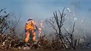 [EN VIVO] Incendio forestales Colombia HOY: departamentos se declaran en emergencia por altas temperaturas