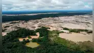Ley Forestal. Lucila Pautrat: “Se han deforestado aproximadamente 11 millones de hectáreas a nivel nacional