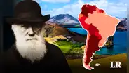 Las islas de Sudamérica que inspiraron la crucial teoría de la evolución de Charles Darwin