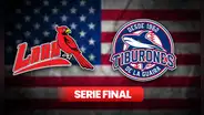 Final LVBP 2024 Tiburones vs. Cardenales EN VIVO HOY: mira AQUÍ el juego 3 desde EE.UU. GRATIS