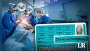 Todo ciudadano sería donante de órganos de manera automática en el sistema, según el Minsa