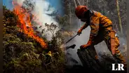 ¿Qué está pasando en Colombia? Bogotá y otras regiones son invadidas por incendios forestales