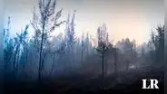 Más de 17.000 hectáreas fueron afectadas por incendio forestal en Colombia: aún figuran 34 incendios activos