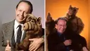 ¿Por qué Max Wright, el popular Willie Tanner, detestaba a Alf en la vida real?