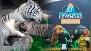 Parque de las Leyendas de Huachipa: guía completa para comprar entradas ONLINE en el zoológico de ATE