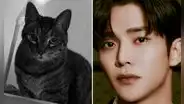 Rowoon le dice adiós a su gato tras 18 años juntos: "Cuando llegue mi hora ven a mi encuentro"