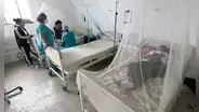 2024 se inició con altas cifras de dengue: 35% más que el año anterior