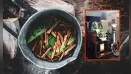 Hombre bebe ayahuasca preparada por su tío chamán y muere en Loreto