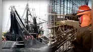 Pesca y consumo de cemento cerraron el 2023 en rojo