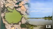 Madre de Dios: bosques amazónicos se están convirtiendo en humedales por minería ilegal