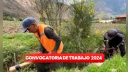 ¡Trabajo en Lima! Ministerio de Desarrollo Agrario ofrece empleos con sueldos de hasta S/12.000