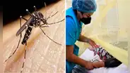 ¿Sabes cómo diferenciar el dengue de la gripe? Consejos de experta
