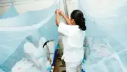 Alerta por casos de dengue en Cusco: 1 fallecido y 272 casos en La Convención