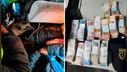 Perro adiestrado de la Sunat detecta 500.000 soles no declarados en minibús de pasajeros