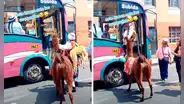 Peruanos sorprendidos al ver que hombre sube su llama a bus público: “El chofer es pet friendly”