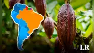 El mejor chocolate del mundo está en Sudamérica: superó a 50 países y se coronó con el máximo galardón