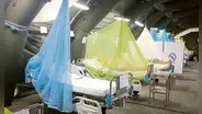 Reportan tres muertes por dengue en Áncash y Cusco