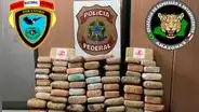 Incautan cargamento de marihuana ‘Skunk’,  que iba a ser entregado al Comando Vermelho