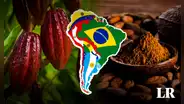 El mejor chocolate del mundo está en Sudamérica: superó a 50 países y se coronó con el máximo galardón