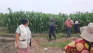 La Libertad: encuentran a bebé recién nacido abandonado en una chacra de Virú