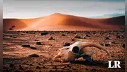 ¿Sabias que un desierto en América es el segundo lugar más caluroso del mundo?: marcó récord de 80.8°C