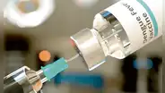 Dengue: recomiendan vacunar contra esta enfermedad a personas vulnerables