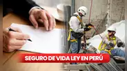 Asegura el bienestar de tus trabajadores: todo lo que debes saber sobre el Seguro de Vida Ley