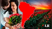 El país que vendió más de 700 millones de flores está en Sudamérica y es segundo exportador en el mundo
