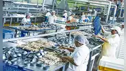Economía peruana cae 0,55% en 2023 y se confirma mayor retroceso en 31 años