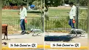 Joven saca a pasear su perro robot por parque de San Juan Lurigancho y en redes bromean: “Lima ya es potencia mundial”