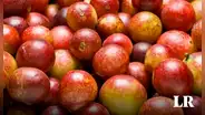 La fruta con mayor vitamina C en el mundo: supera 10 veces a la naranja y se cultiva en Perú