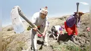 Apenas 3 de cada 10 trabajadores son formales