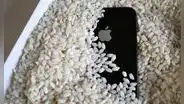 Apple destruye mito del arroz y afirma que no sirve para reparar tu iPhone mojado