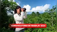 ¡Más de 100 puestos! Sernanp ofrece empleos con sueldos de hasta S/9.000