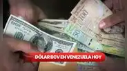 Precio del dólar paralelo de HOY, martes 20 de febrero, según DolarToday y Monitor Dólar