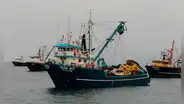 Pescadores artesanales: Funcionario de IMARPE no entrega información veraz